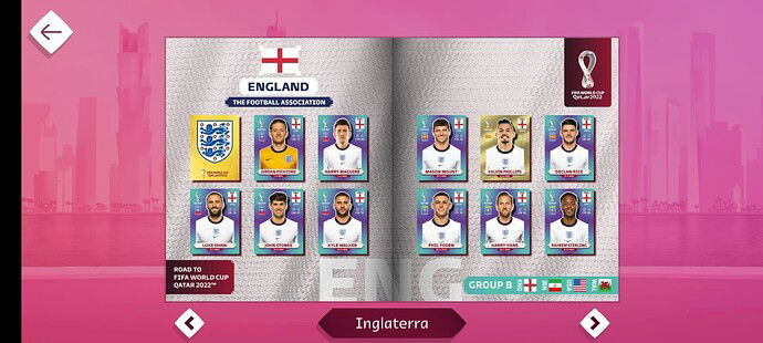 Screenshot_20220904-175248_Panini Sticker Album