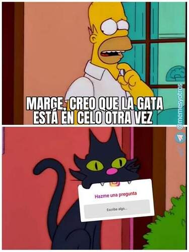 FB_IMG_1599605878339