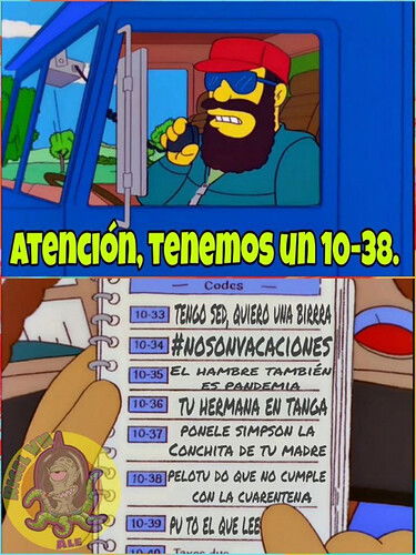 550x733_39B