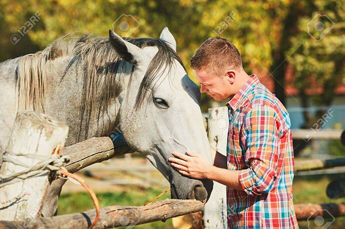 62776613-el-hombre-joven-acariciando-a-caballo-en-la-granja-en-día-de-verano-