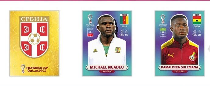 Screenshot_20220902-111110_Panini Sticker Album