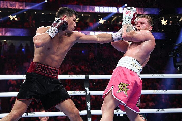 bivol_d_280059062_1185272195545325_20871412588313642_n