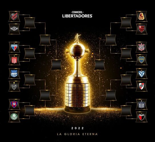 libertadores~1653669481~2847508456700048353_7343253022