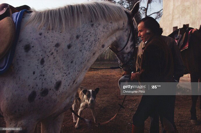 gettyimages-200529155-001-2048x2048