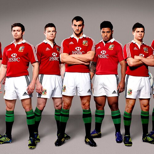 Lions-2013