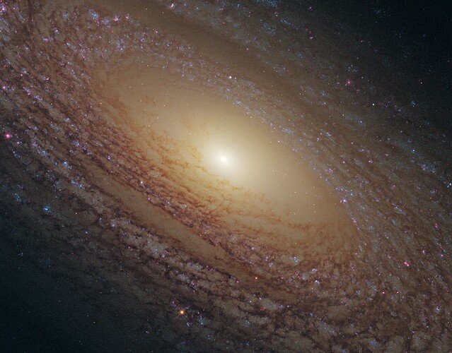 january-7-2019-galaxy-ngc-2841