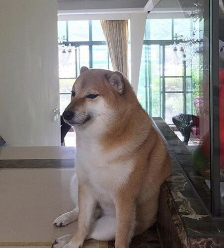 doge