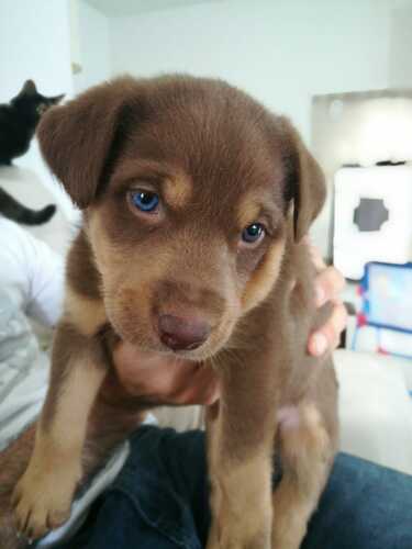 IMG-20201212-WA0085