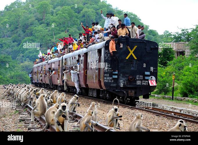 las-personas-que-toman-el-riesgo-mientras-viaja-en-el-techo-del-tren-muchos-monos-sentados-en-la-via-rajasthan-india-et0pwk