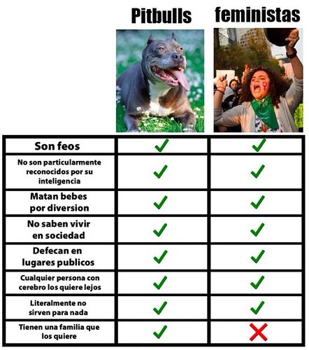 FzzDiJ8aAAIVUdQ