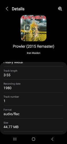 Screenshot_20250630_172646_Samsung Music