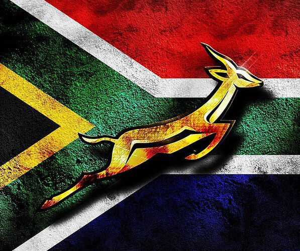 HD-wallpaper-springbok-rugby-south-africa