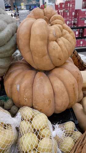 IMG-20250421-WA0385