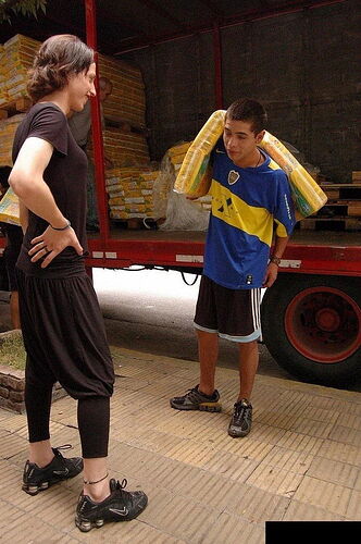 17558347768312431240790658580455