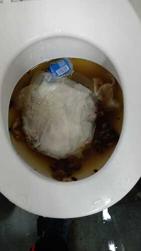 IMG-20221017-WA0026