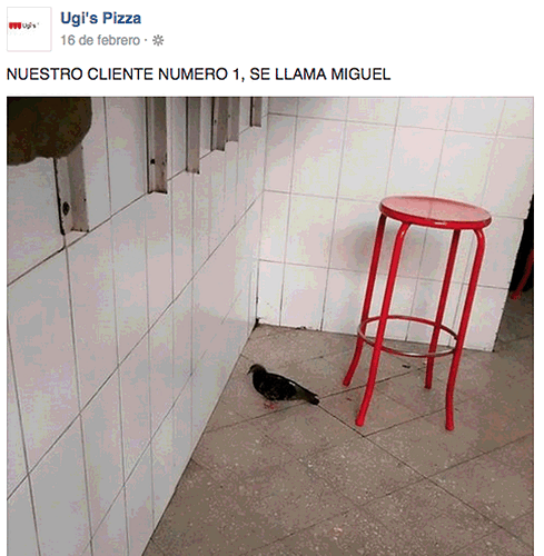 Ugis-miguel