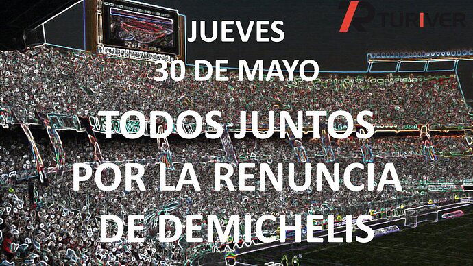 300524 RENUNCIA DEMICHELIS