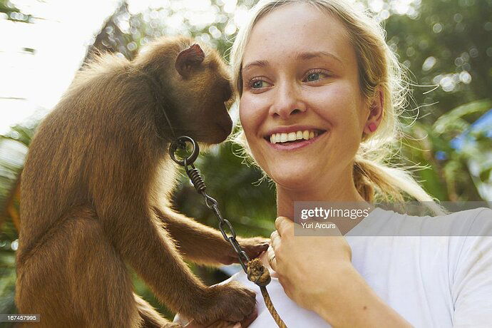 gettyimages-167457995-1024x1024