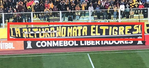 altura tigre
