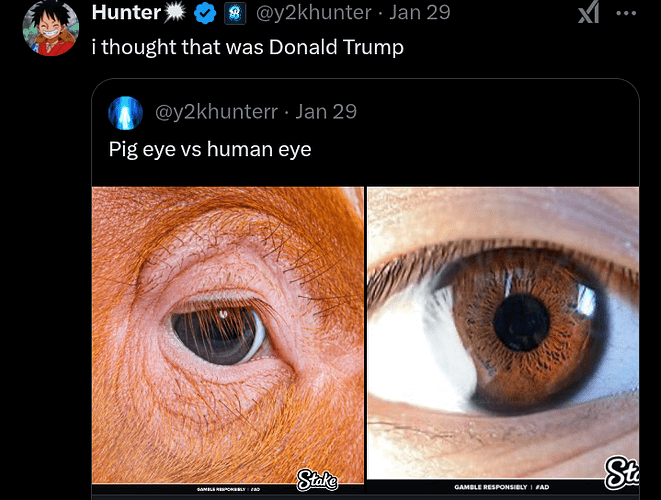 Screenshot_20250202-050824~2