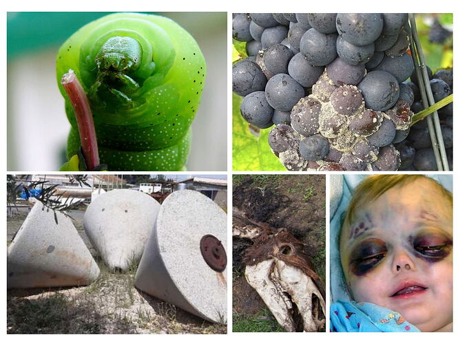 20250924_023440-COLLAGE