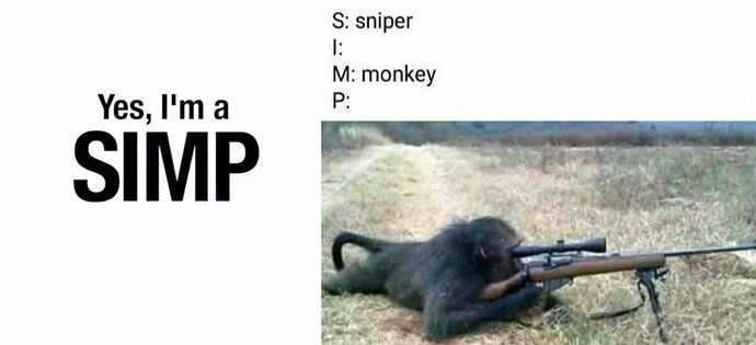 simp