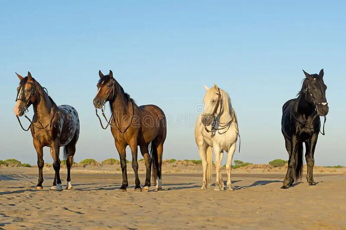 17550993178906633141972037901264