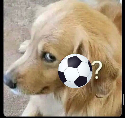 23042023073410