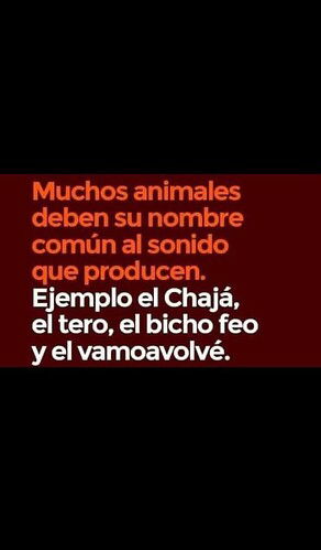 FB_IMG_1739307769879