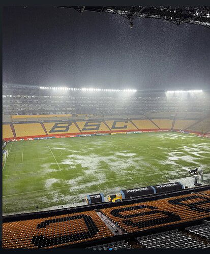 estadio