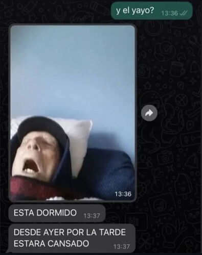 Screenshot_20250603_143726_Instagram