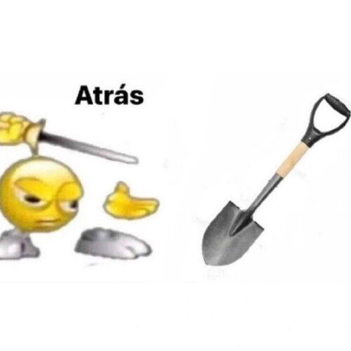 meme_pala_crop1684499792306