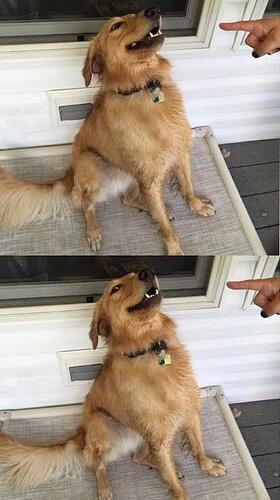 2rq378