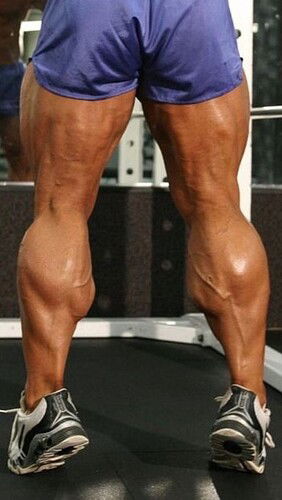 6ae70b3a02b3711cb39d078f11de5f1e--fitness-men-fitness-goals~2