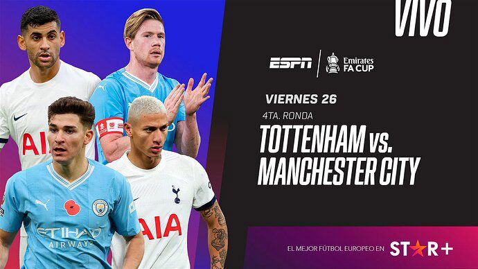 FA-CUP_TOTTENHAM_M.CITY_