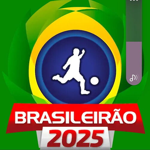 Screenshot_20250327_145922_Google Play Store