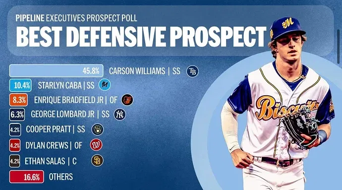 mlb-execs-rank-the-best-prospects-in-an-anonymous-poll-v0-1g207v8tznbe1