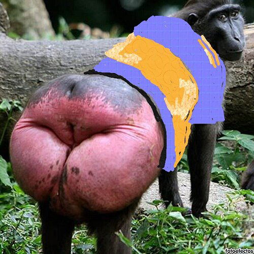 mono de boca