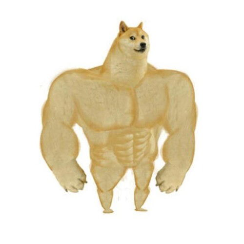 doge_y_cheems_1_crop1623509180858.jpg_193796296