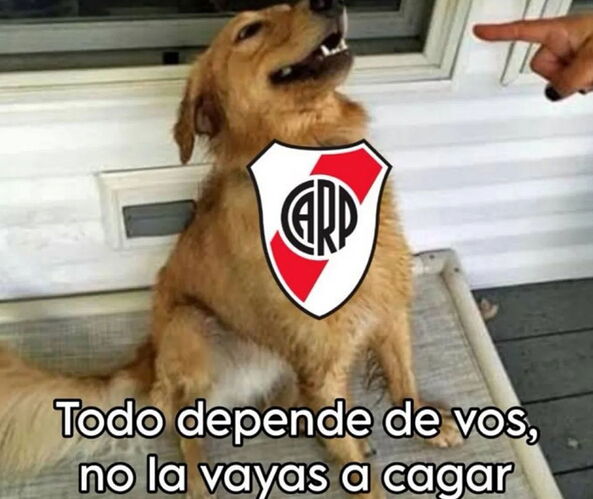 elproductodecampeones-01042025-0001
