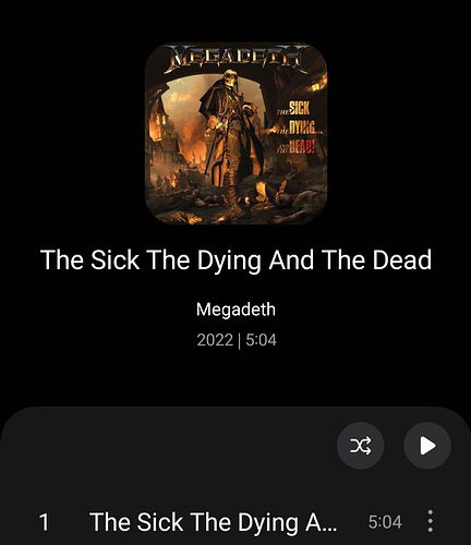 Screenshot_20250724_144805_Samsung Music