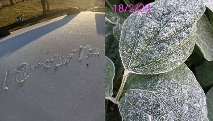 helada-en-febrero