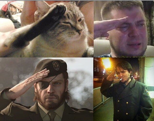 3vjf7w