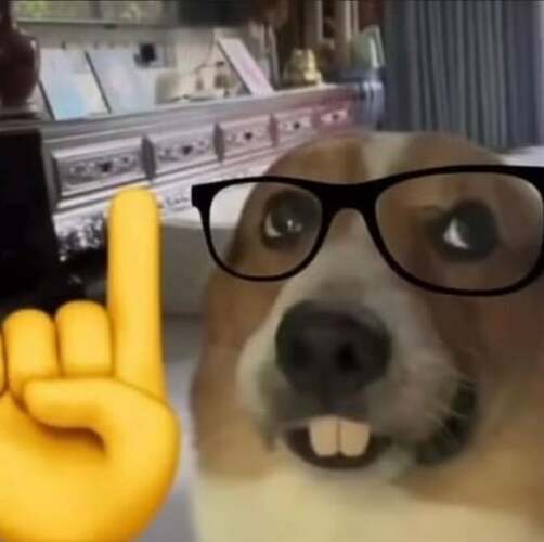 anyone-have-the-nerd-dog-in-hq-v0-akkxz5ofa3ob1