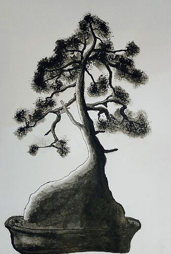 IMG_20251029_133403220_MFNR~2 (2)