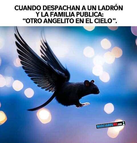 mataron-mataron-a-un-inocente-volando-el-se-fue-v0-pyqgd67s0c3b1