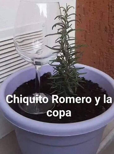 FB_IMG_1699588341723