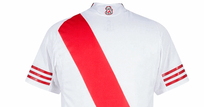 camiseta leon