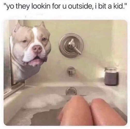 20250408_002300