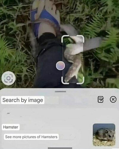 20250512_134212